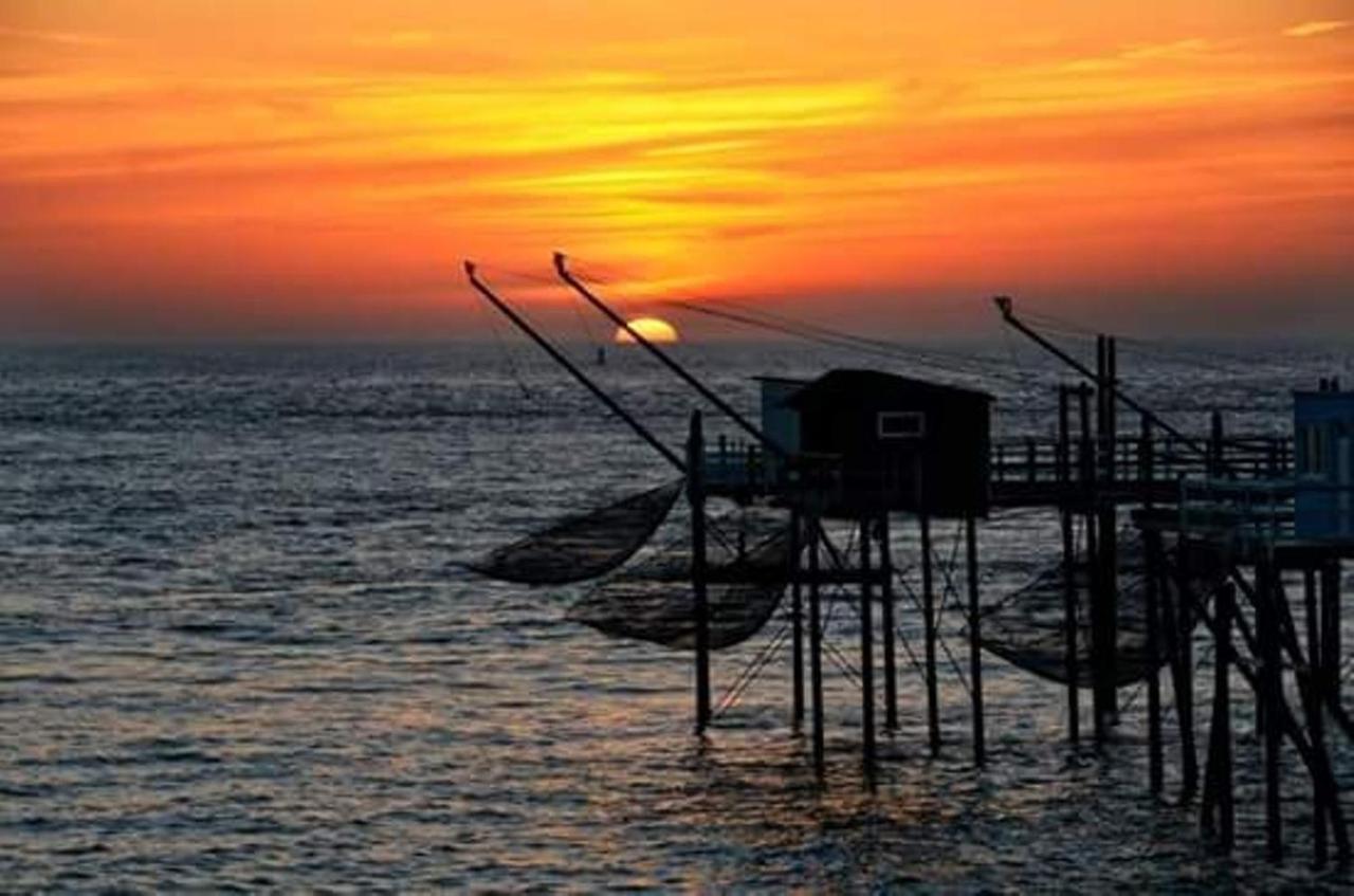 Le Garden 250 M Plage Du Chay Daire Royan Dış mekan fotoğraf